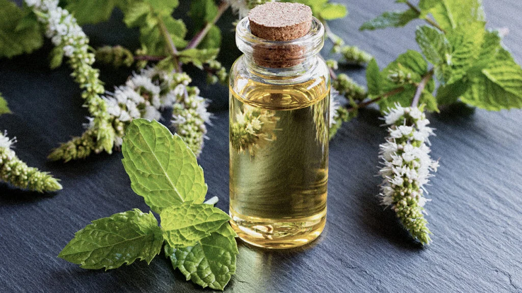 Coriander Powder